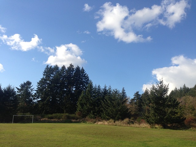 病困扰
